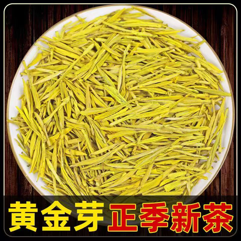 2025年黄金芽绿茶茶叶新茶