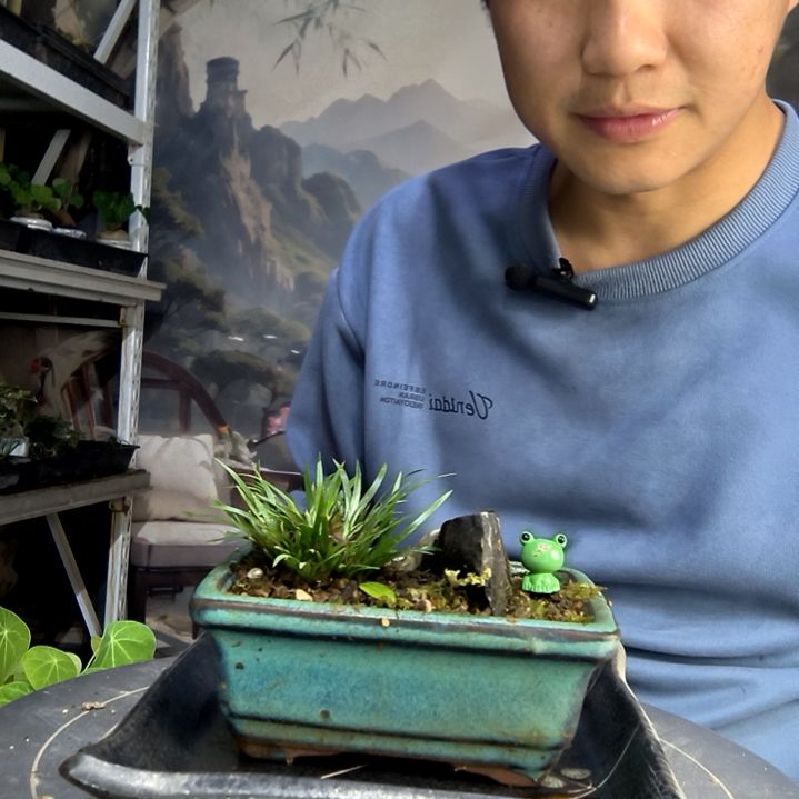 不***?中青园艺一物一拍411