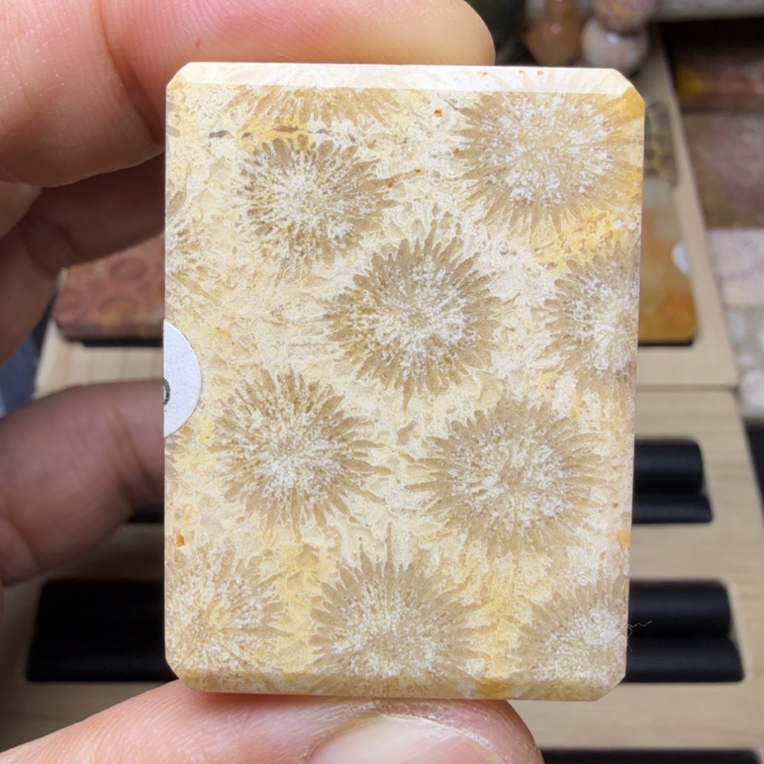 硅化玉未镶嵌纯天然色有机玉石保真色