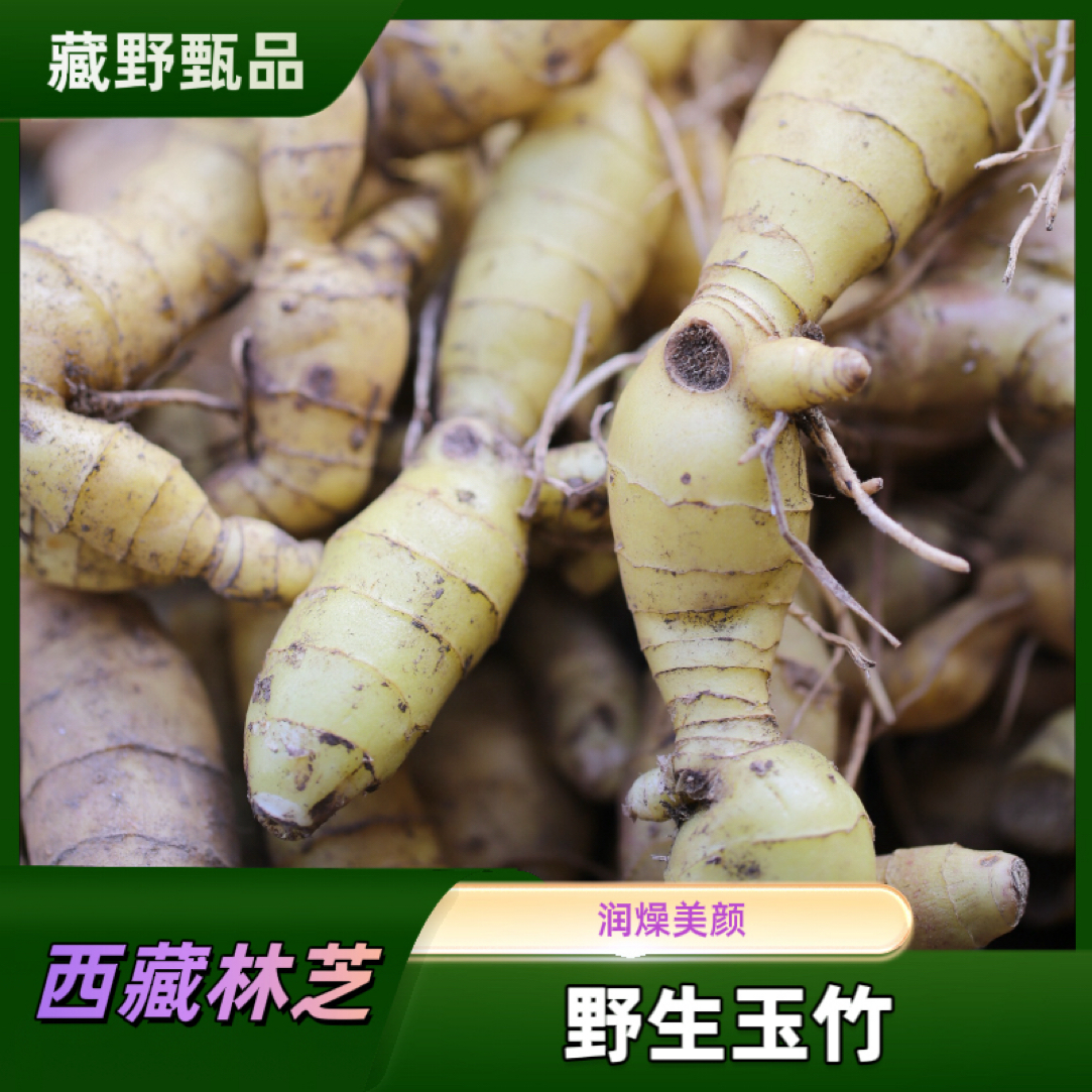 西藏林芝高海拔玉竹
