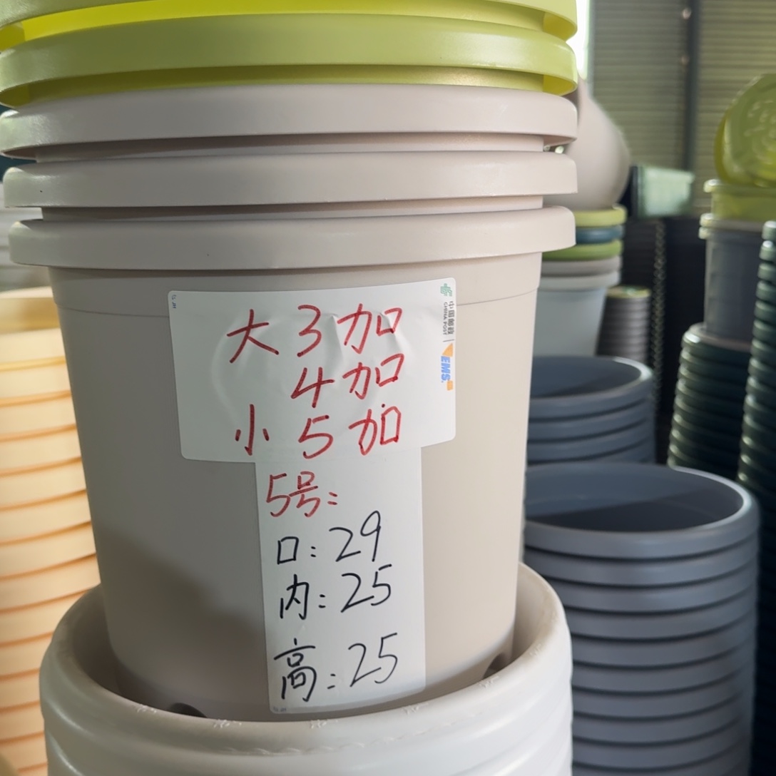 四季5#口径29无拖灰白10个