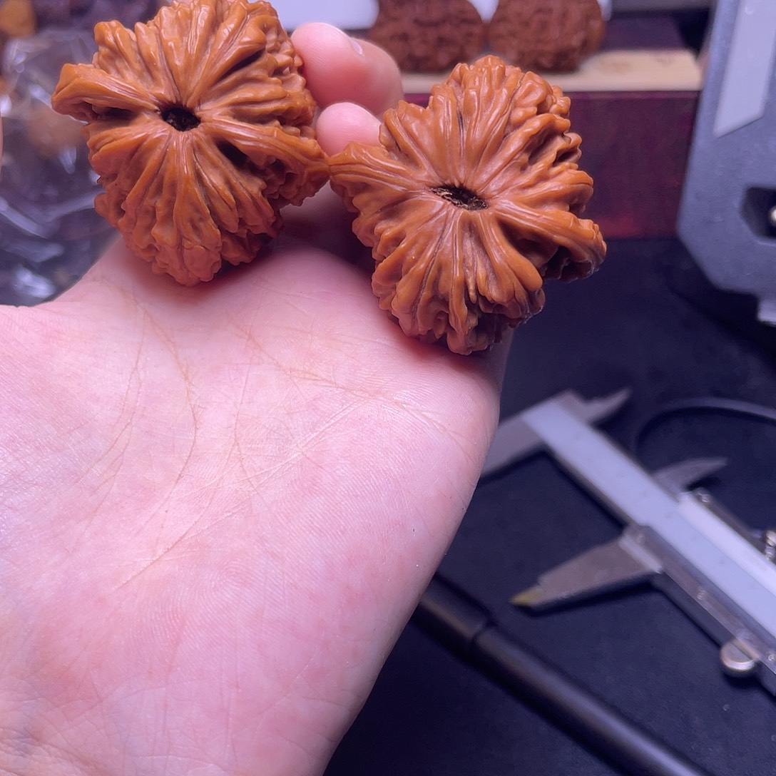 *****桃核吊坠楼子福利