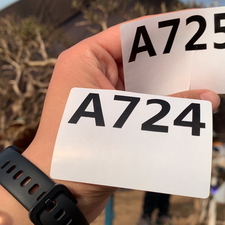 A***Y全部花朵金银花8888888