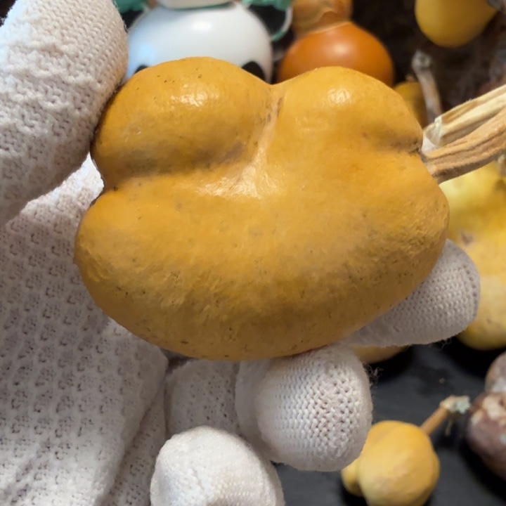 1***道6666677677777677