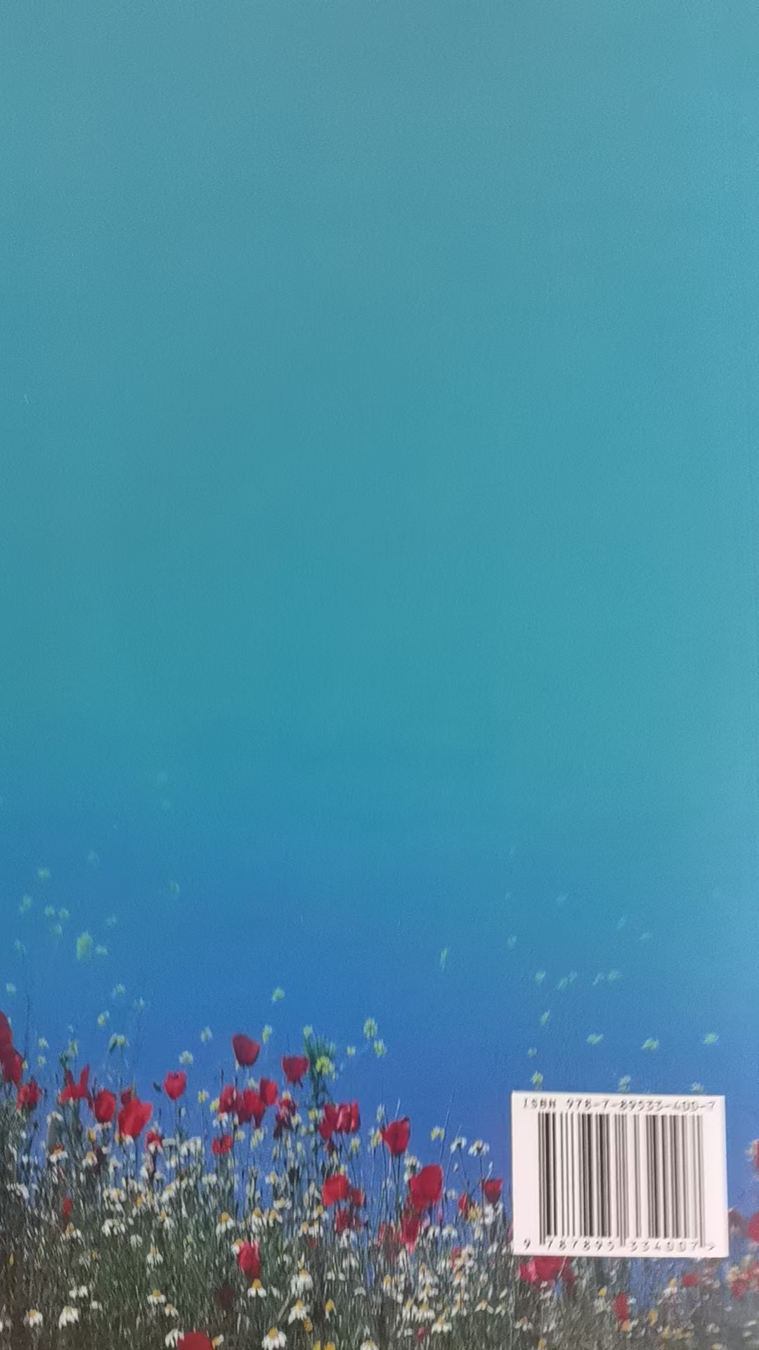 小学框架习作早教