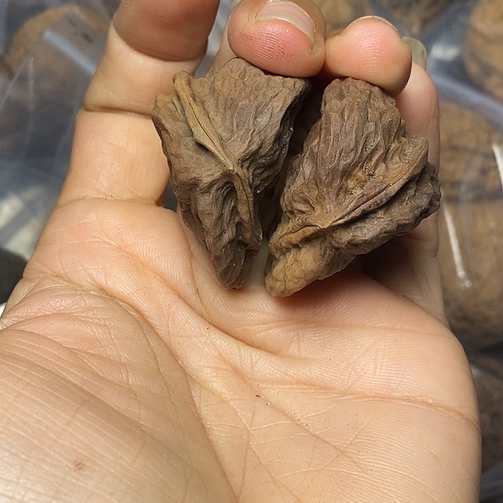 文玩核桃把件云南铁核桃47