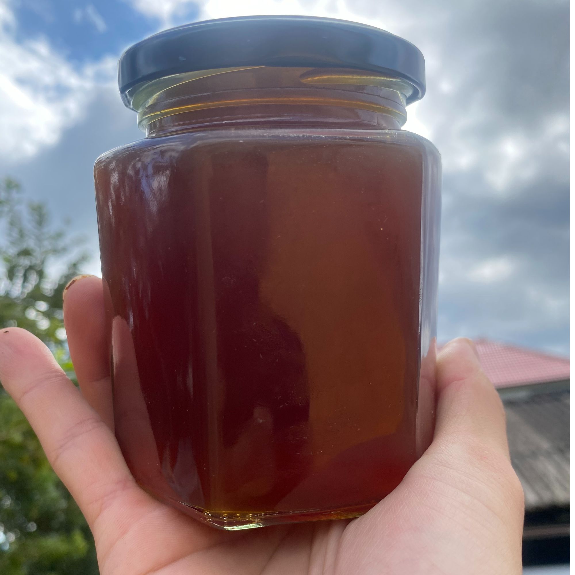 云南天然蜂蜜无刺蜂蜜酸蜂蜜新鲜现挖