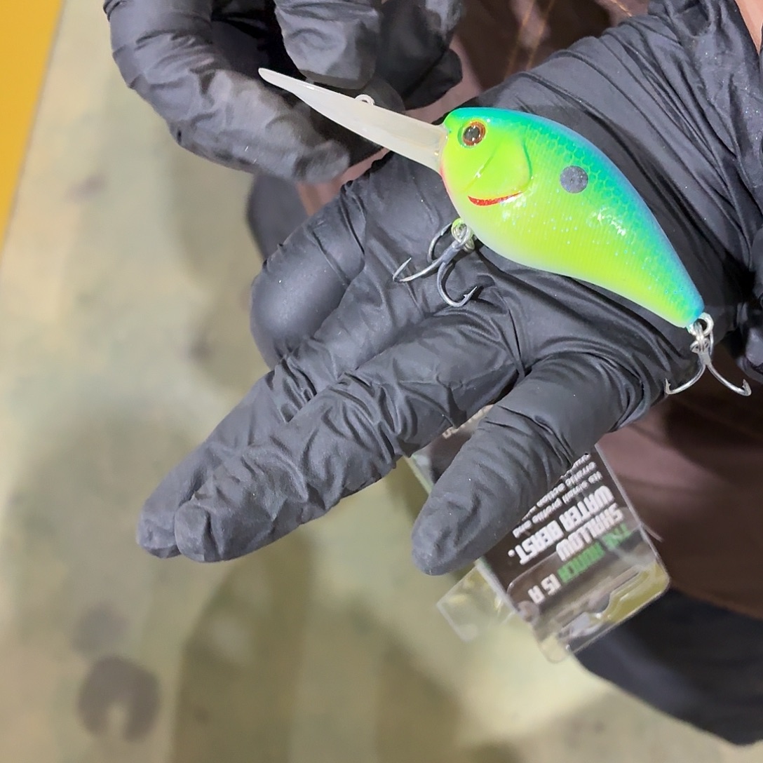 H56-1个颜色随机不退不换