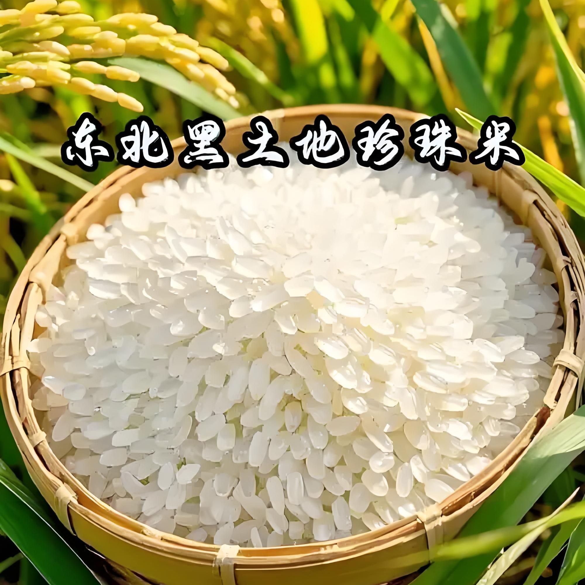 【十周年大庆】【五斤五斤囤】大米拍一单到手一袋+神秘大礼旅Y卡