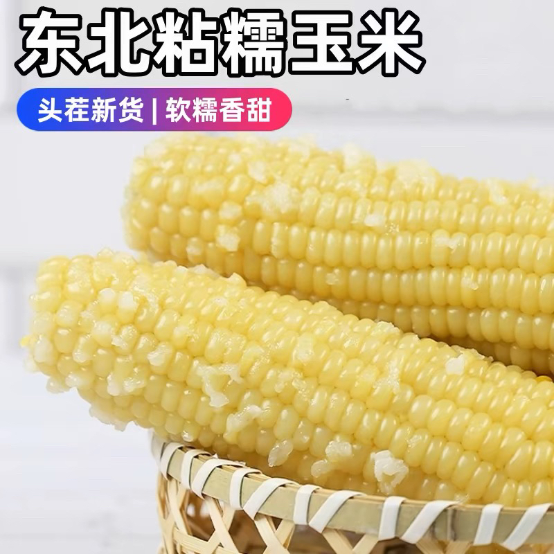 【10支装强烈推荐】东北白糯玉米香甜软糯速冻代餐轻食玉米黑龙江发