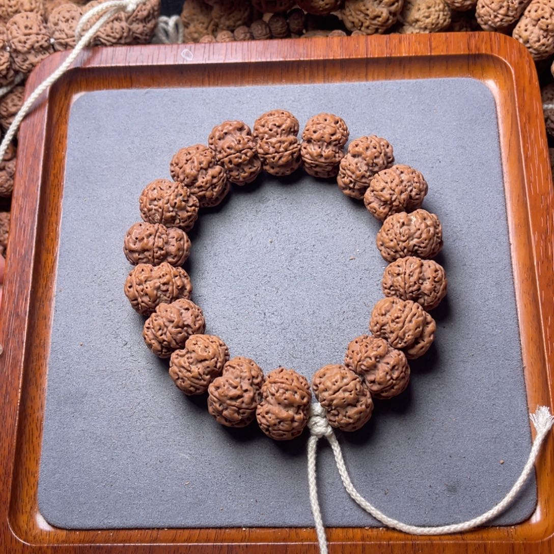 菩提籽类16号金刚菩提矮壮凹底钮扣梅花21