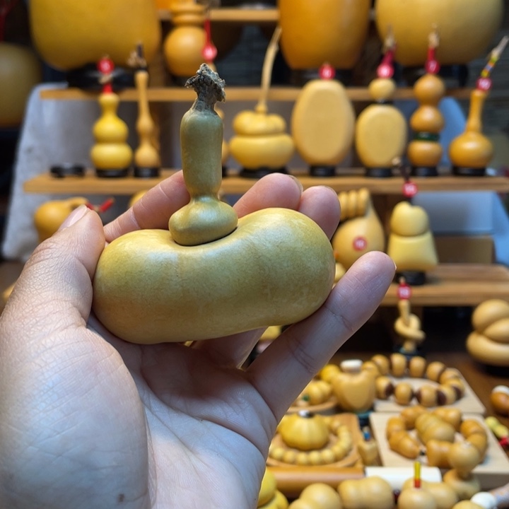 田***儿天然葫芦自然生长