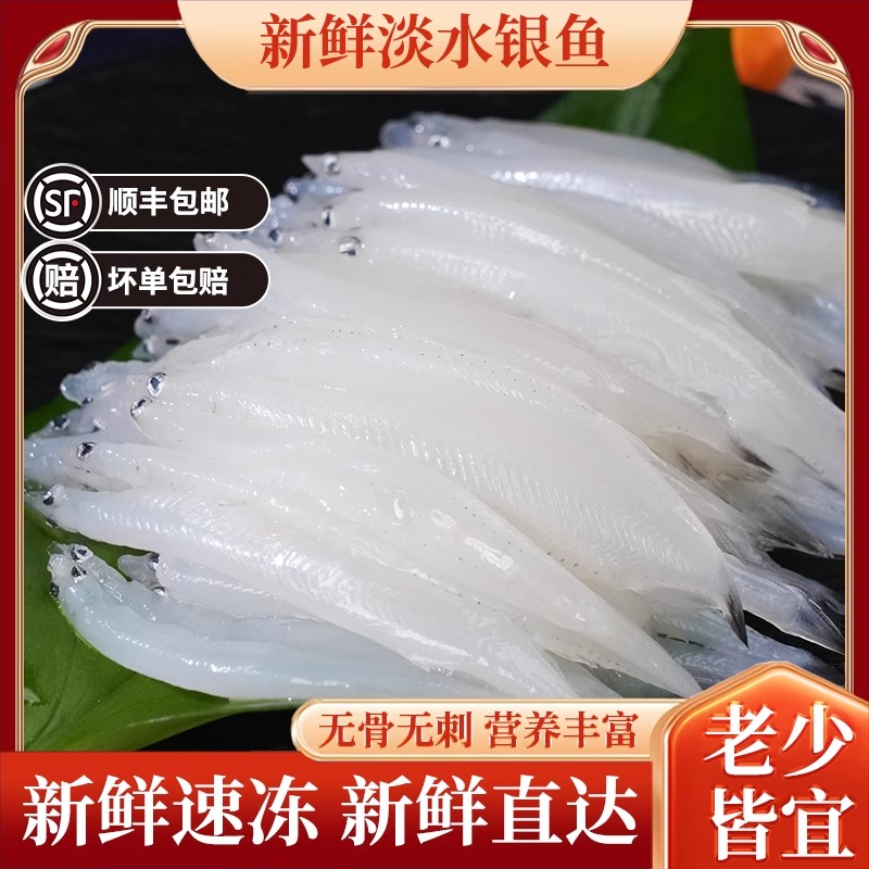 【中银鱼】银鱼新鲜食用鲜活冷冻淡水水产营养鲜嫩无刺无鳞