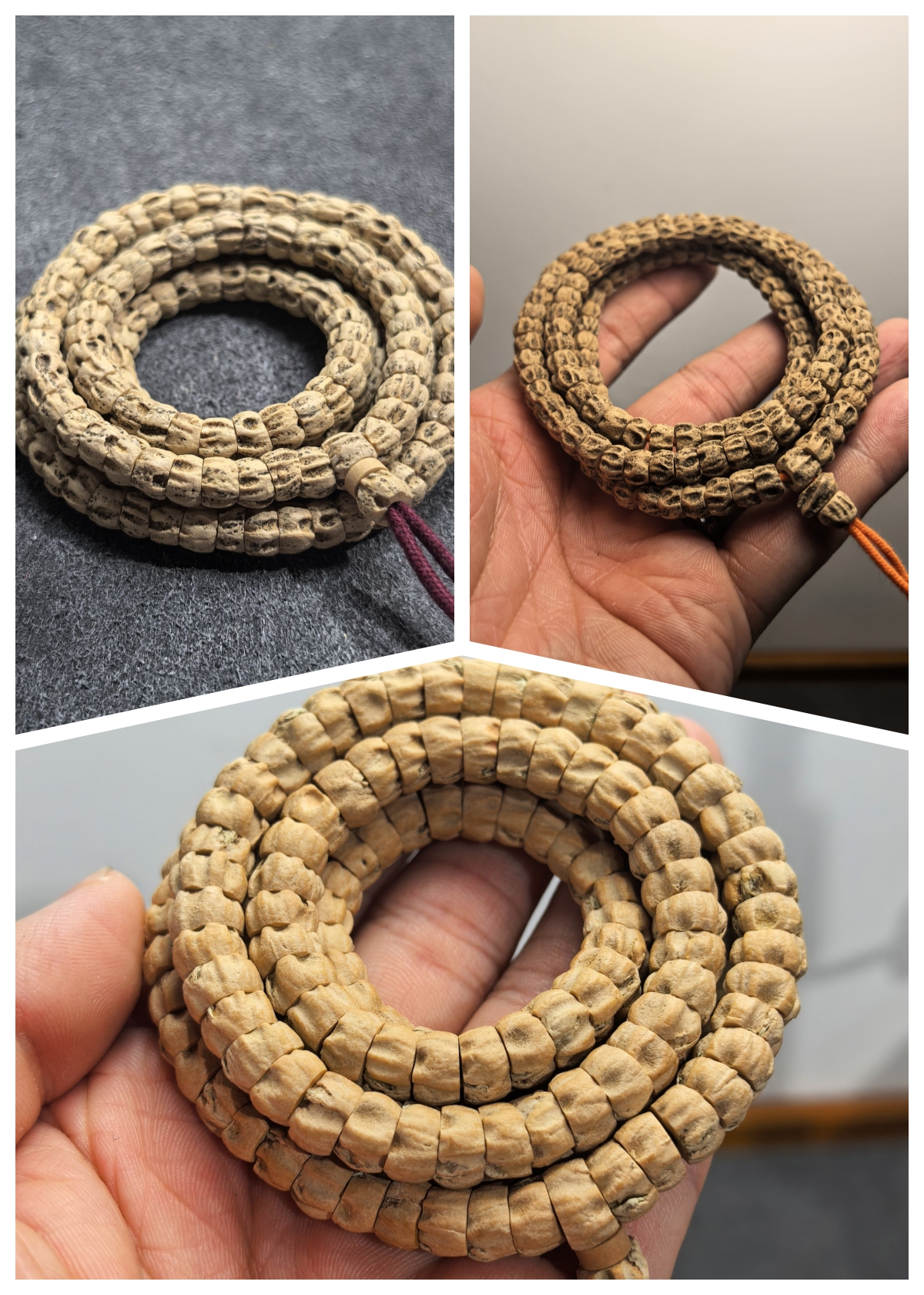 热振精工归圆小角度斜切大肠柏香籽！三款自选！