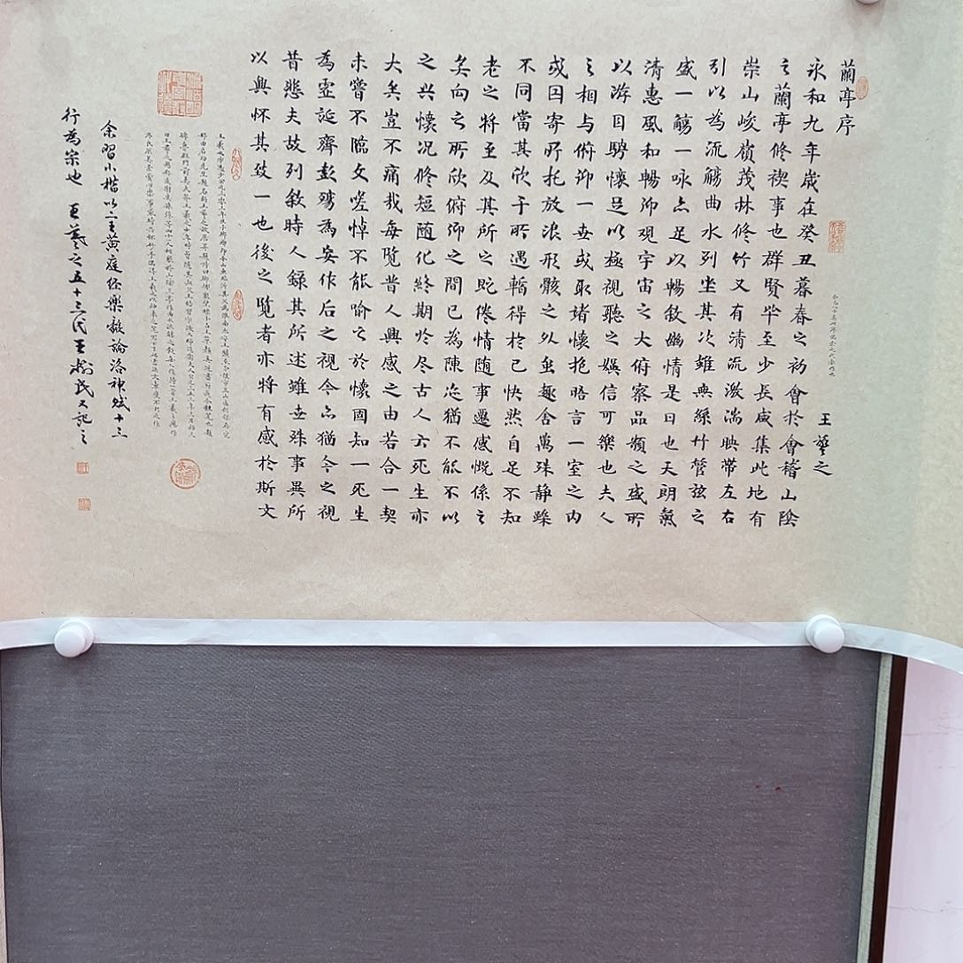 国画王树民溯源带证件合影视频