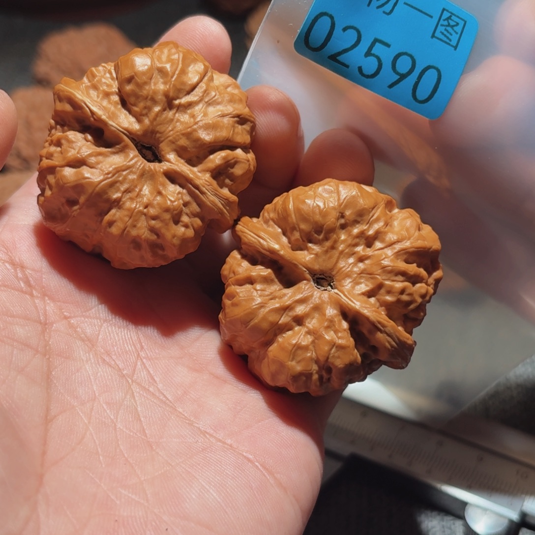 文玩核桃把件蛤蟆