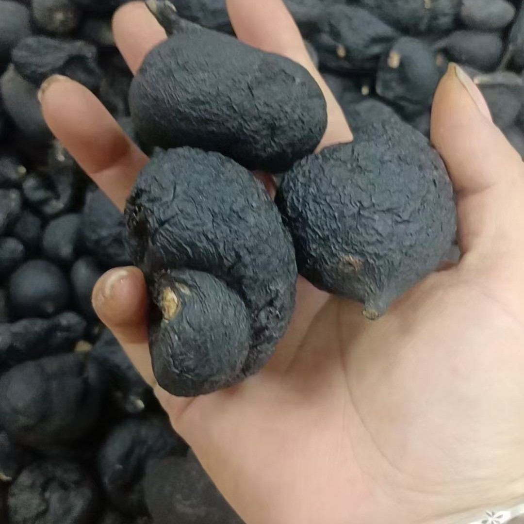 中大号乌灵参选货干品靓货批发