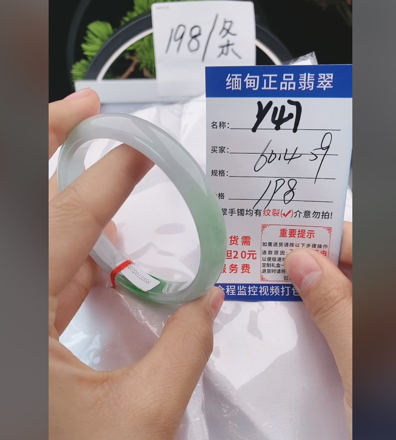 Y47缅甸翡翠手镯处理198/条【一物一证】实物以直播间为准