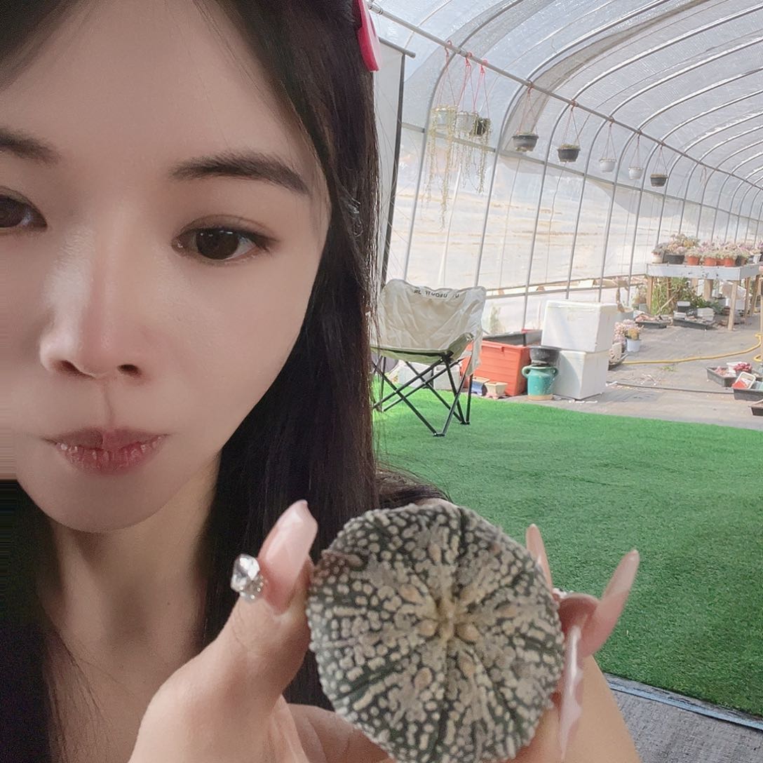 多肉植物一物一拍