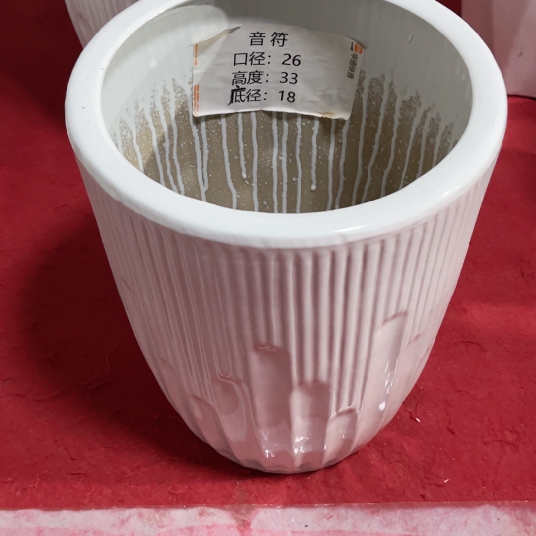 陶瓷3号中号正常品