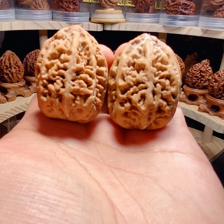 泡***斯文玩核桃把件珊瑚纹