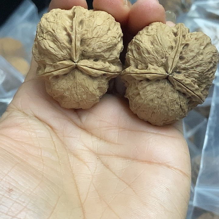 文玩核桃把件云南铁核桃基地43