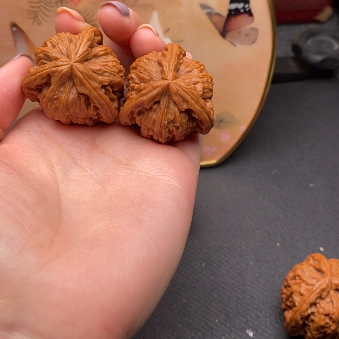 @*禹白狮子111111111111