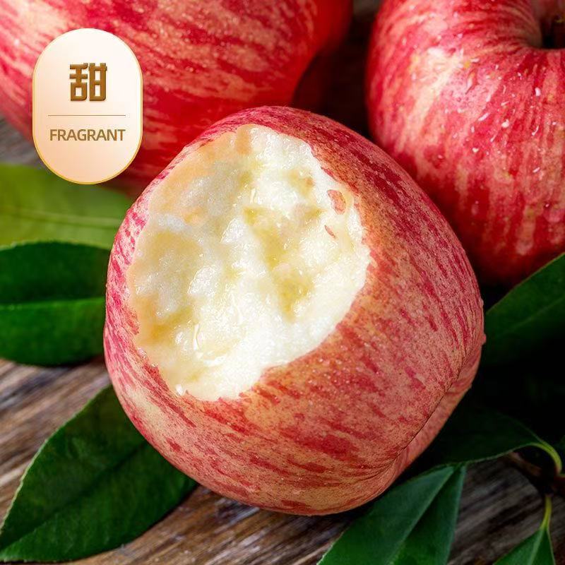 当季新鲜红富士苹果新鲜采摘脆甜多汁冰糖心当季水果
