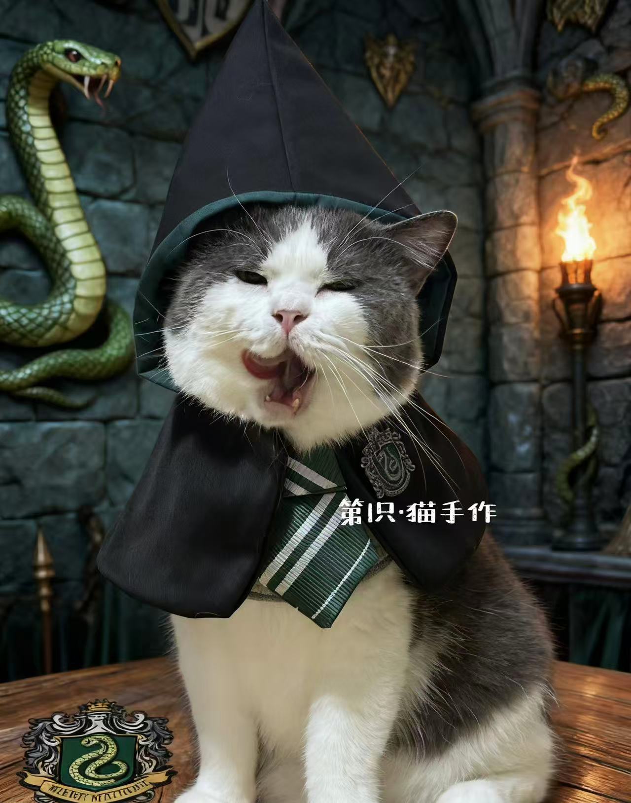 宠物口水巾霍格沃滋哈利波特魔法学院风猫咪狗狗围脖