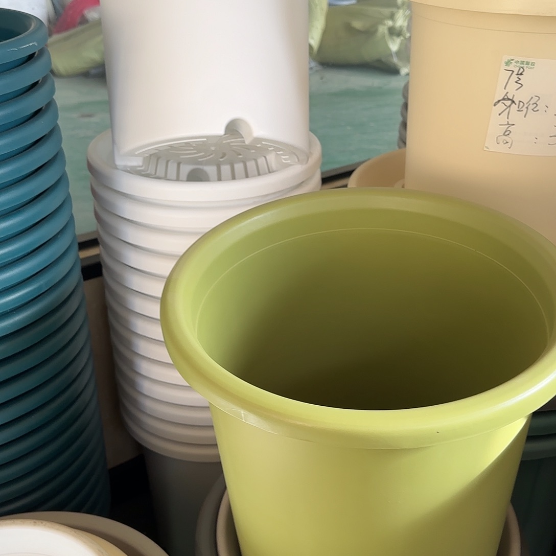 树脂四季8号无托2个白色