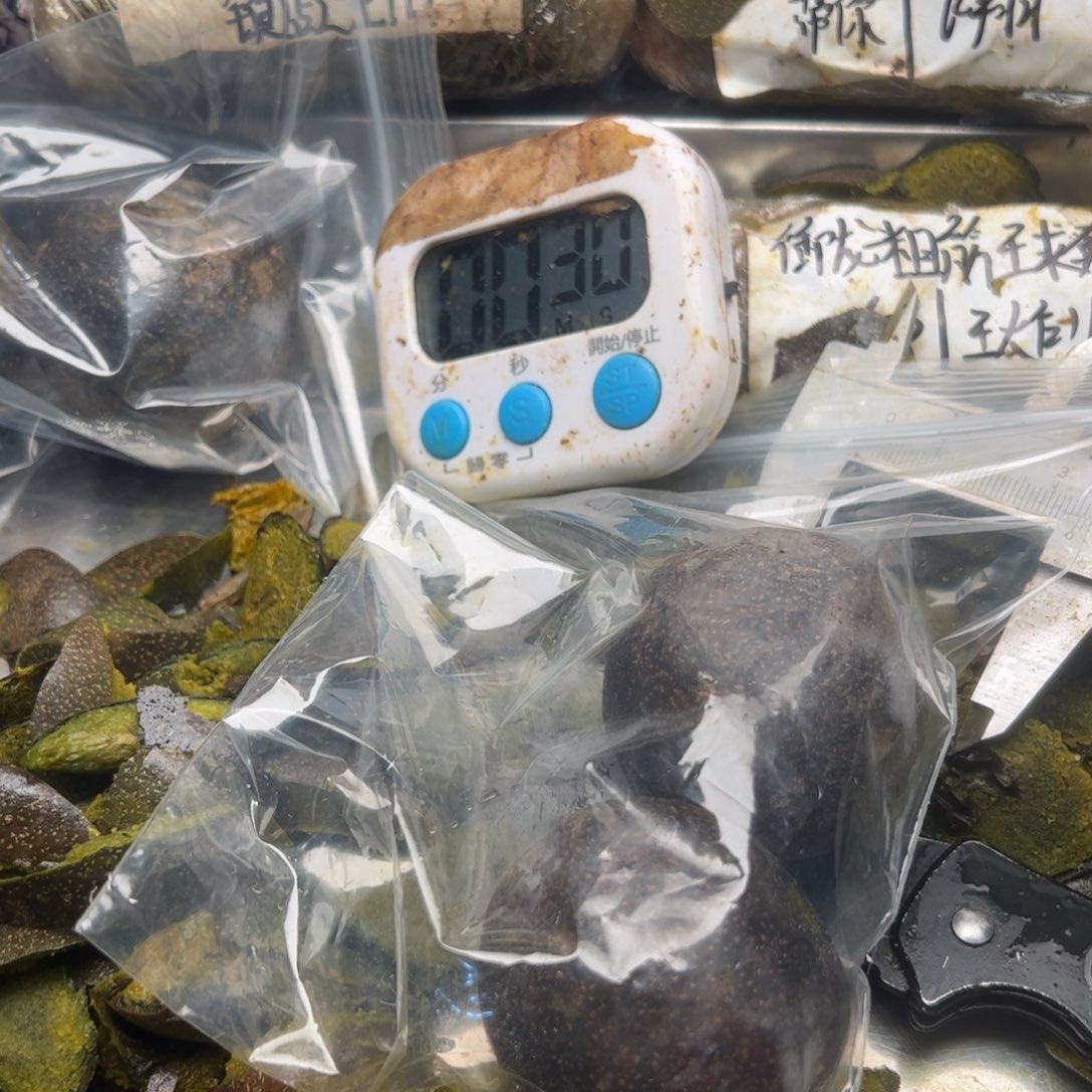 2***2刚回家斤斤计较经济坎坎坷坷