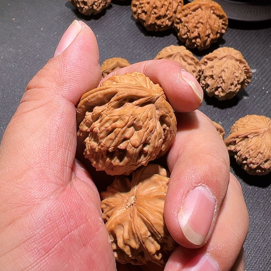 X***M啊啊啊啊啊啊啊啊啊啊