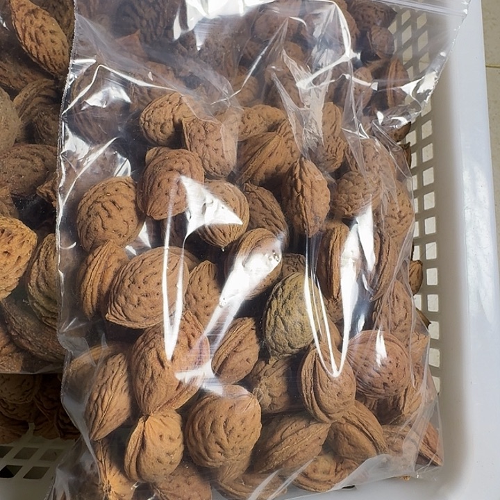 华***亭手串/手链核桃桃核