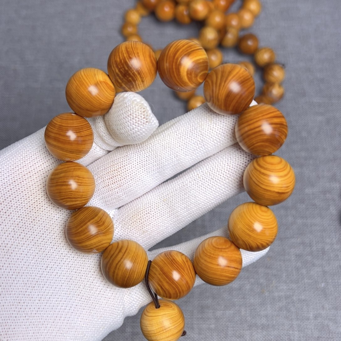 柏木（崖柏）太行崖柏1.8