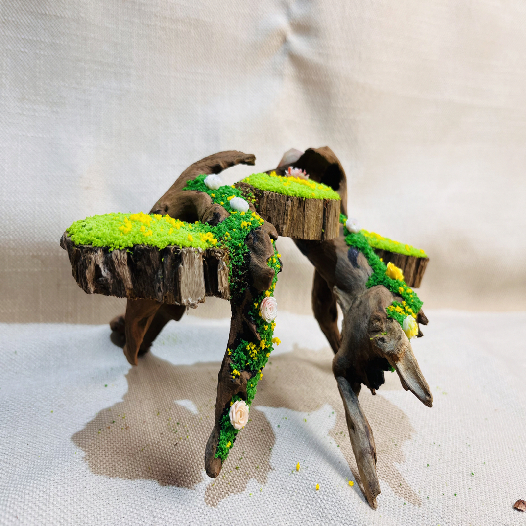 寄居蟹造景沉木尺寸，20.10.13