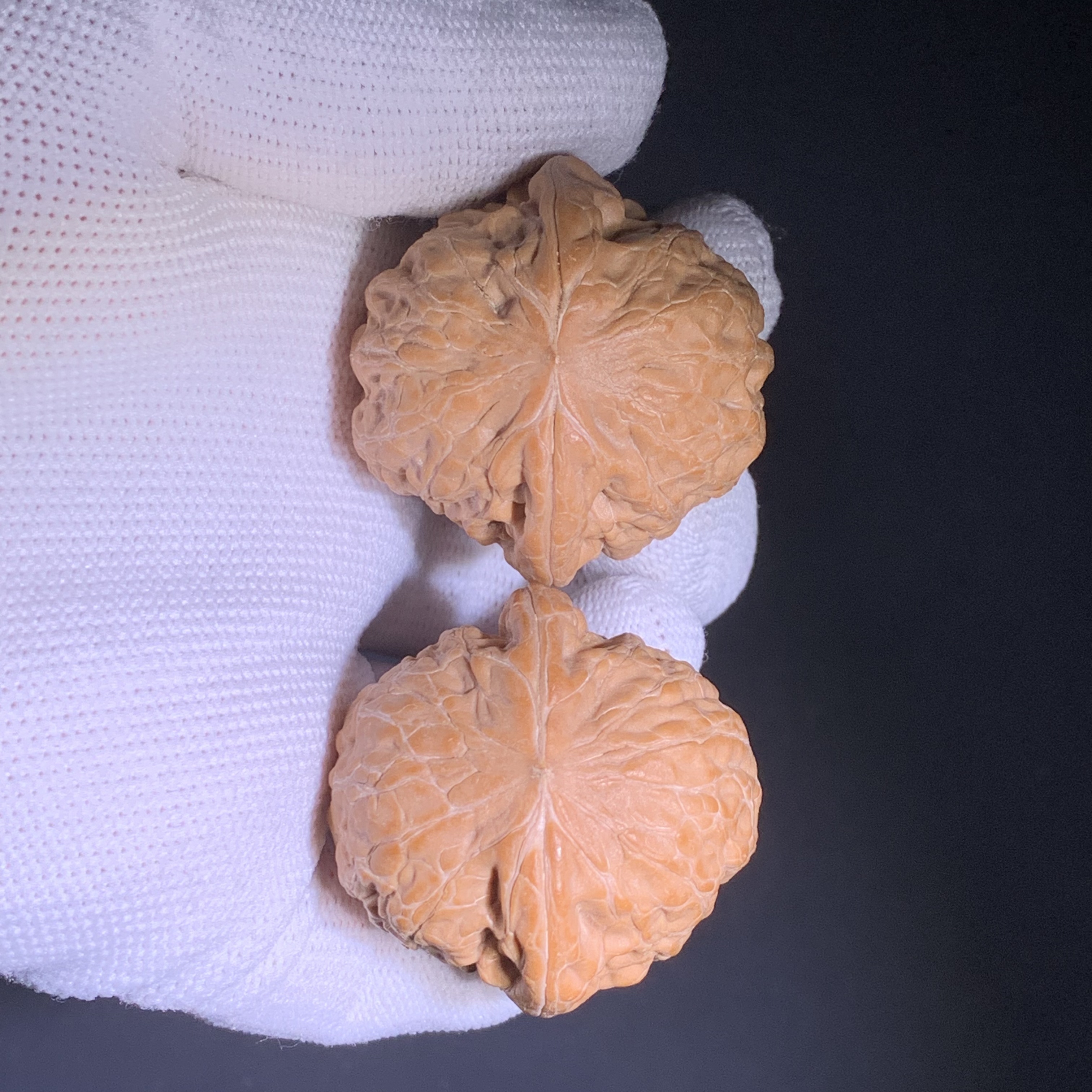 铁锤麻核桃（自然桩全品白茬） 