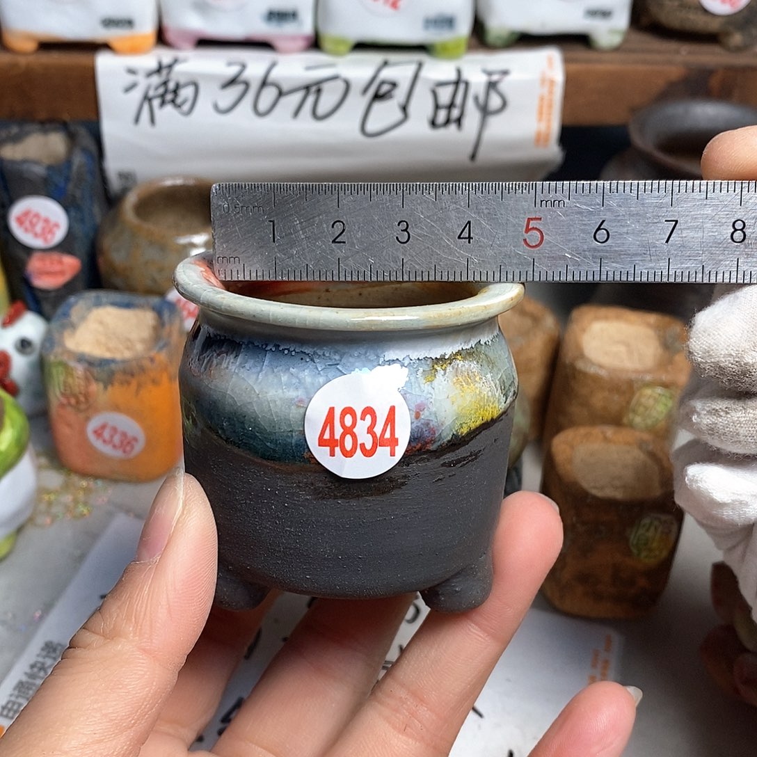 红陶拍5送一个小