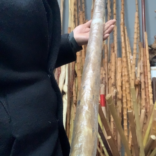 用***9小叶蜀黎麻利长140厘米左右