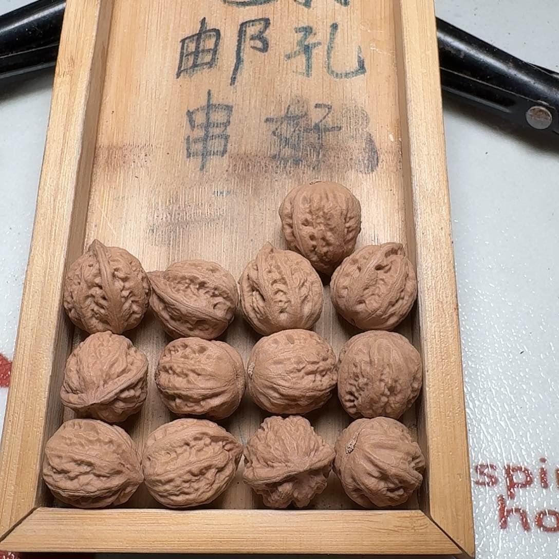 核桃手串/手链17号边22肚23高23