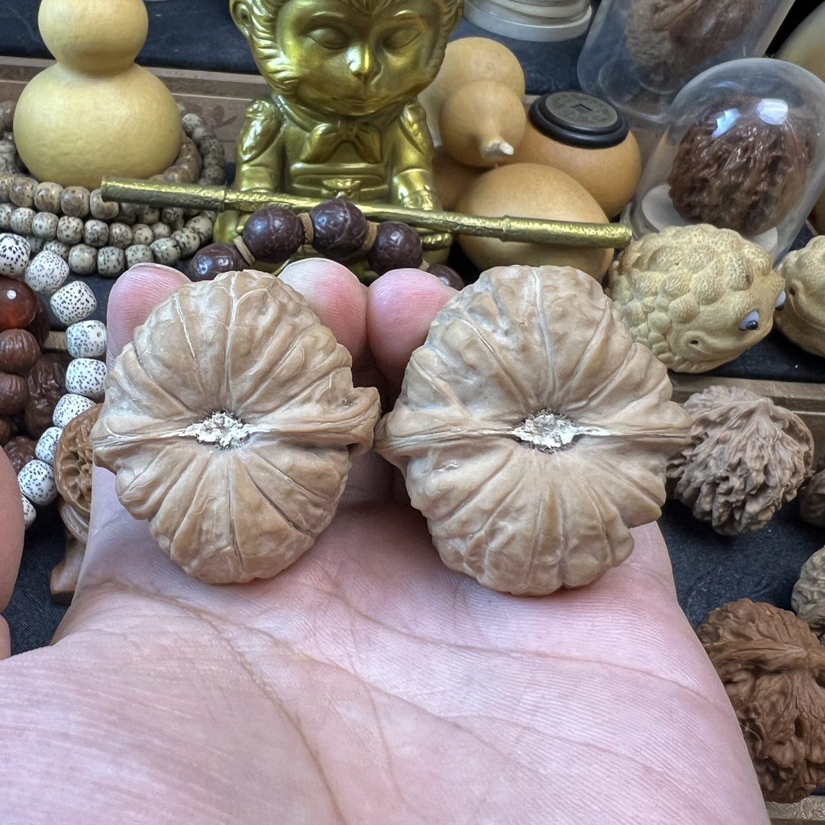 精品南瓜墩，尺寸43，全品无修，今年货头，喜欢的私聊388包邮到家