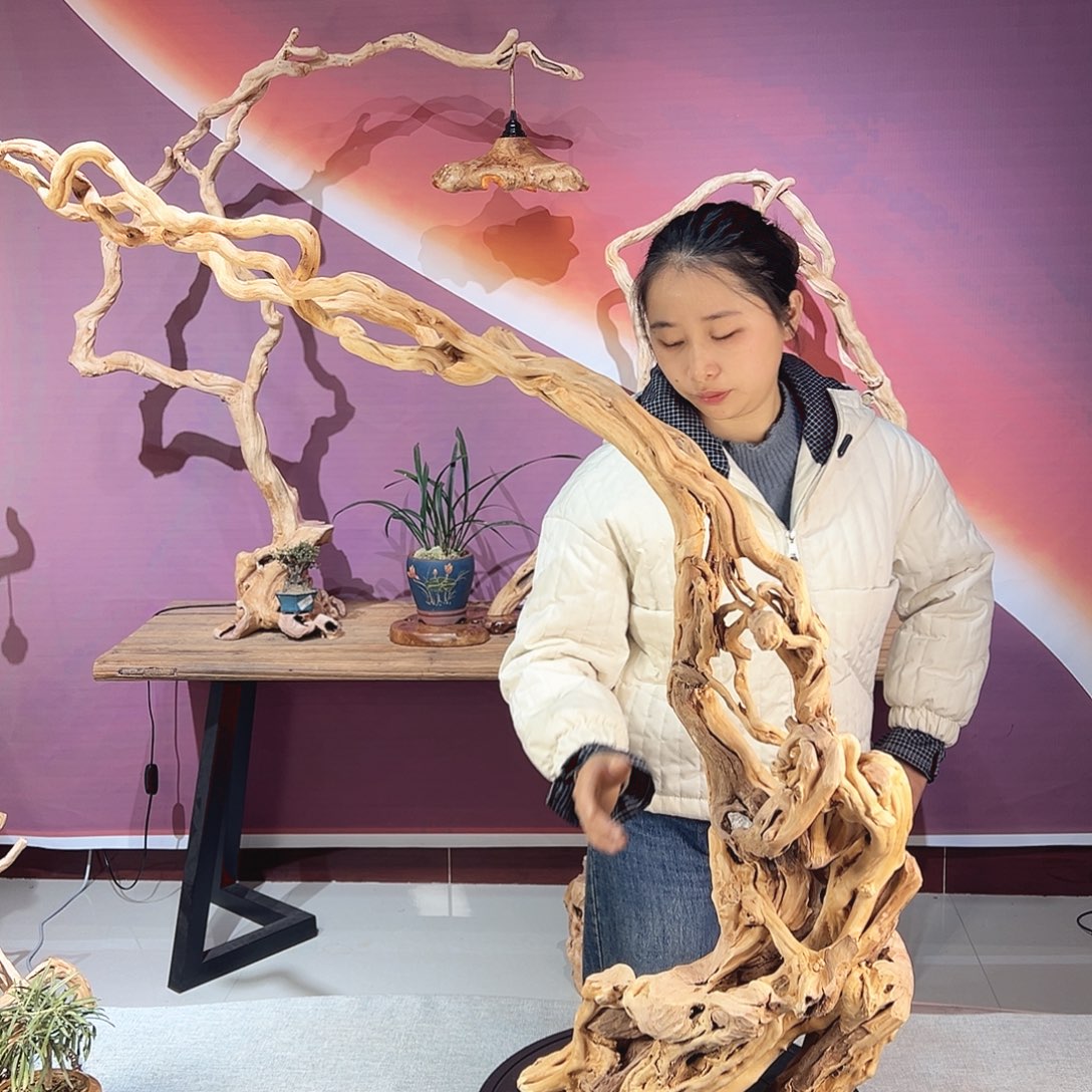 闽***Z木天然杜鹃根根艺摆件