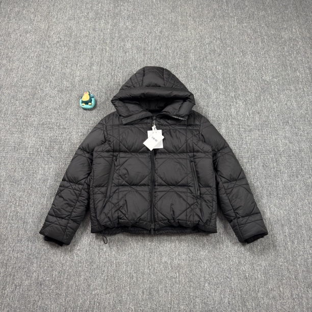 未使用 DIOR/迪奥 黑色藤格纹袖标羽绒服/48码