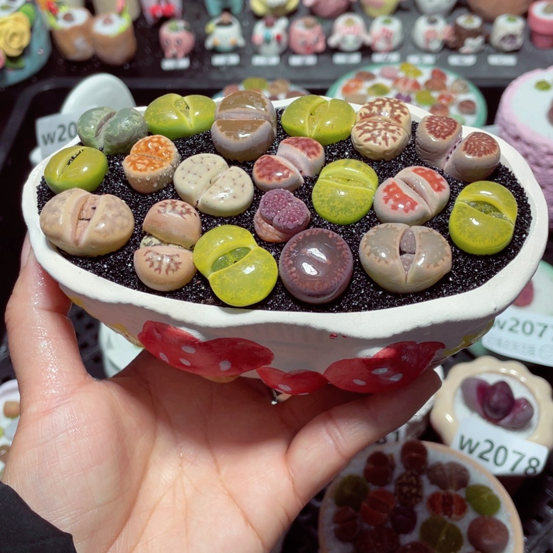 w2092 带盆土发货-零下地区拍保温箱