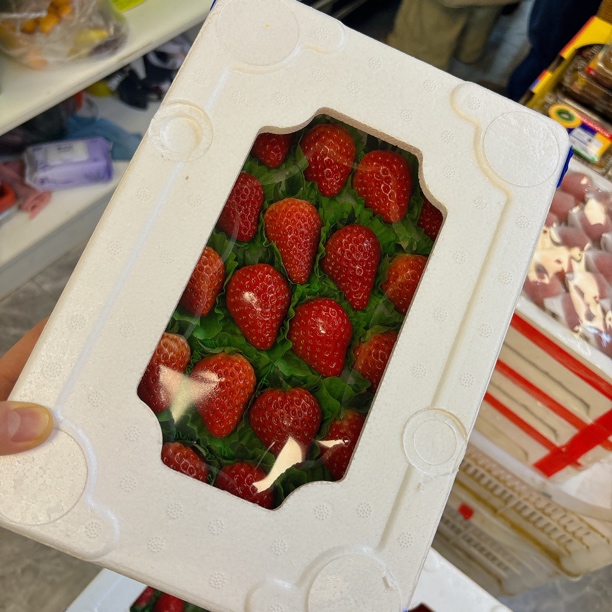成箱草莓带箱 520g