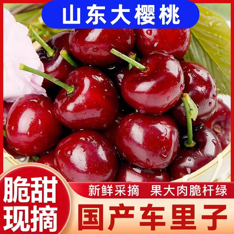 【京东冷链】（买就送！！！）现摘现发山东美早大樱桃新鲜水果可口 