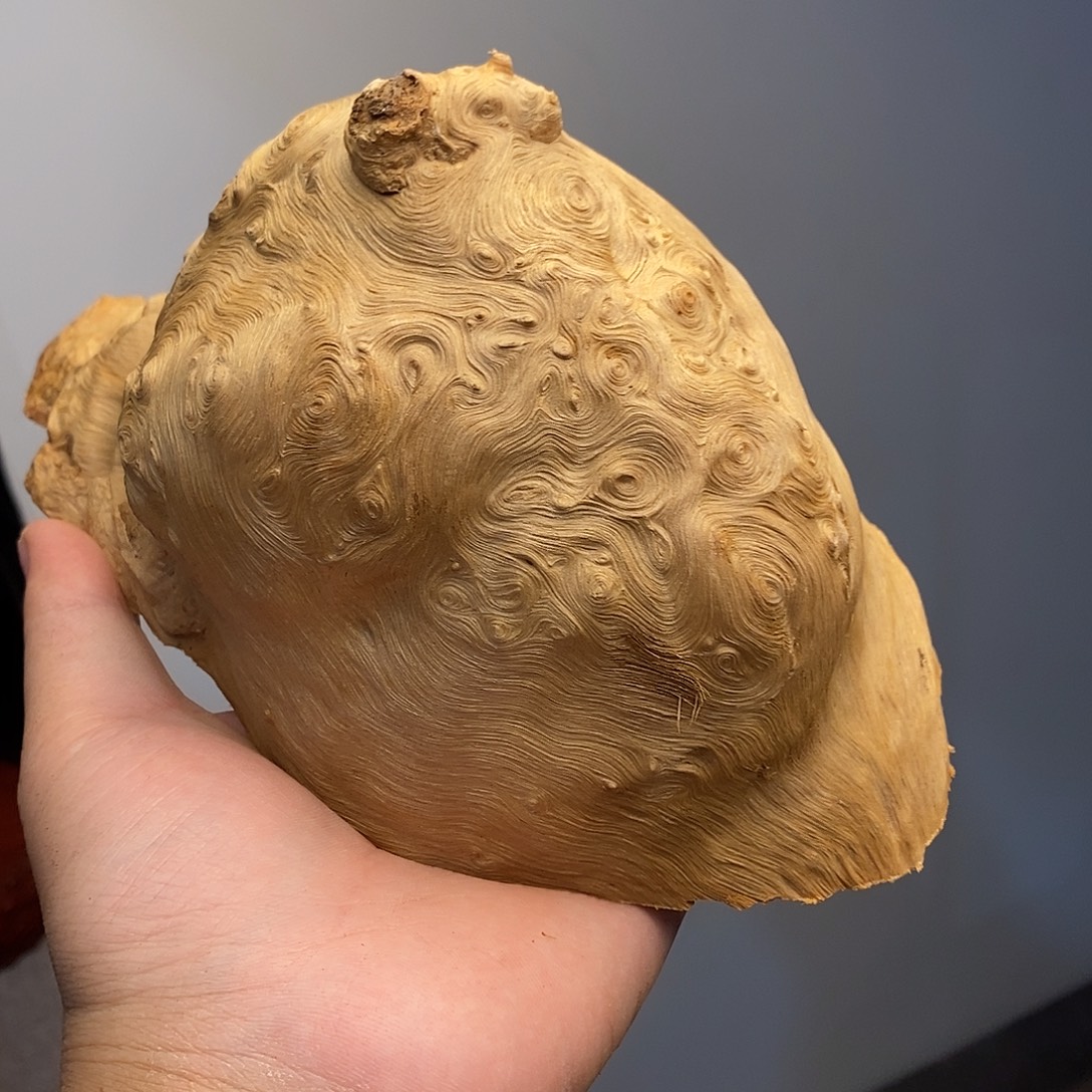 *****荔枝木荔枝木香炉