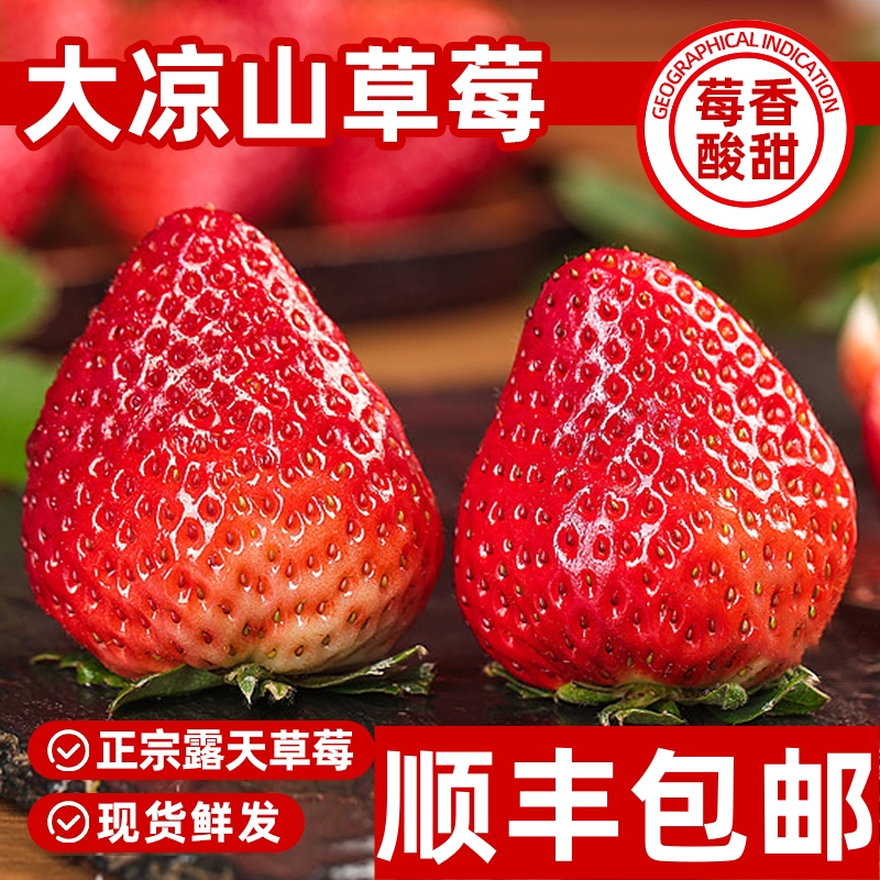 【顺丰快递】大凉山露天草莓新鲜水果红颜牛奶油草莓当季整箱ccm