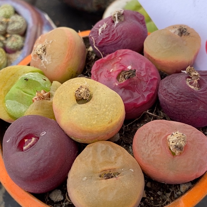 5116一组一组一组