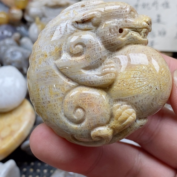 颈饰未镶嵌硅化珊瑚（珊瑚玉）