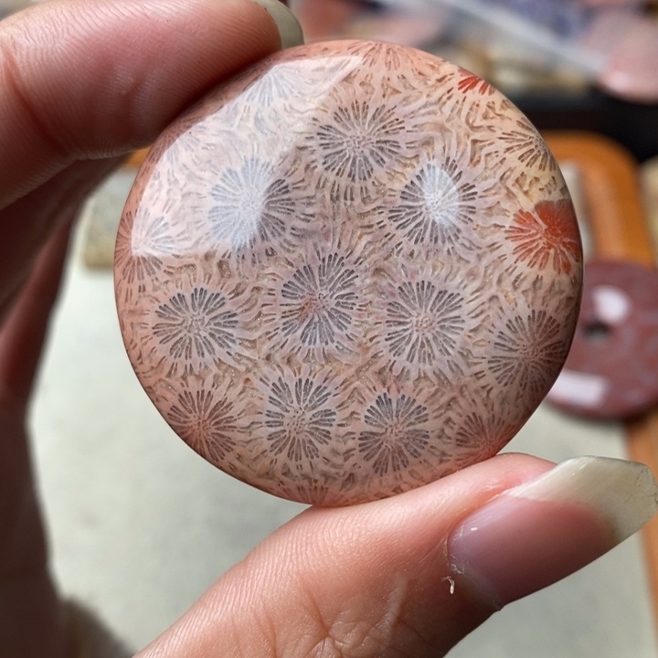 硅化玉颈饰未镶嵌王